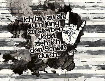 Preview: Ich bin zu alt, um jung zu sterben. Jetzt zieh ich den Scheiß durch - kleines Panel - French Terry